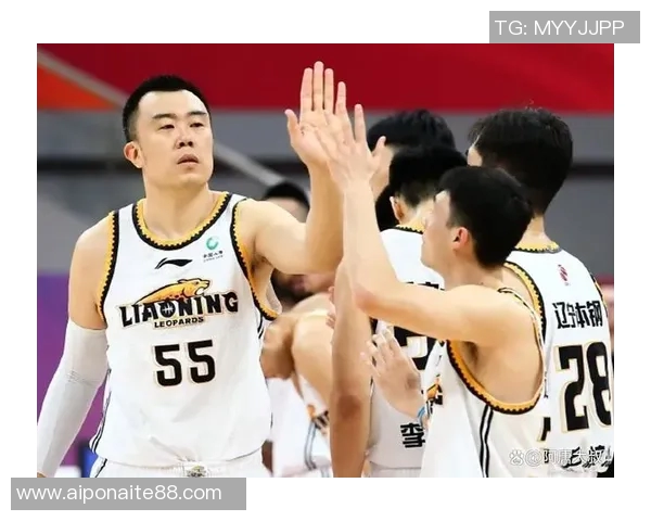 韩德君的篮球之路：从青涩少年到CBA传奇巨星的成长历程