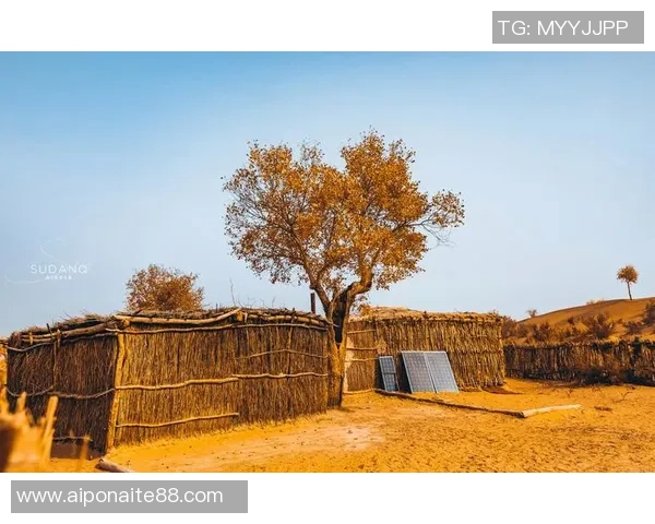 弗格的传奇人生与不朽成就探秘：从平凡到伟大的奋斗历程