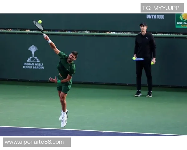 2014年纳达尔与穆雷的巅峰对决回顾与精彩瞬间分析 2014年纳达尔与穆雷的巅峰对决回顾与精彩瞬间分析